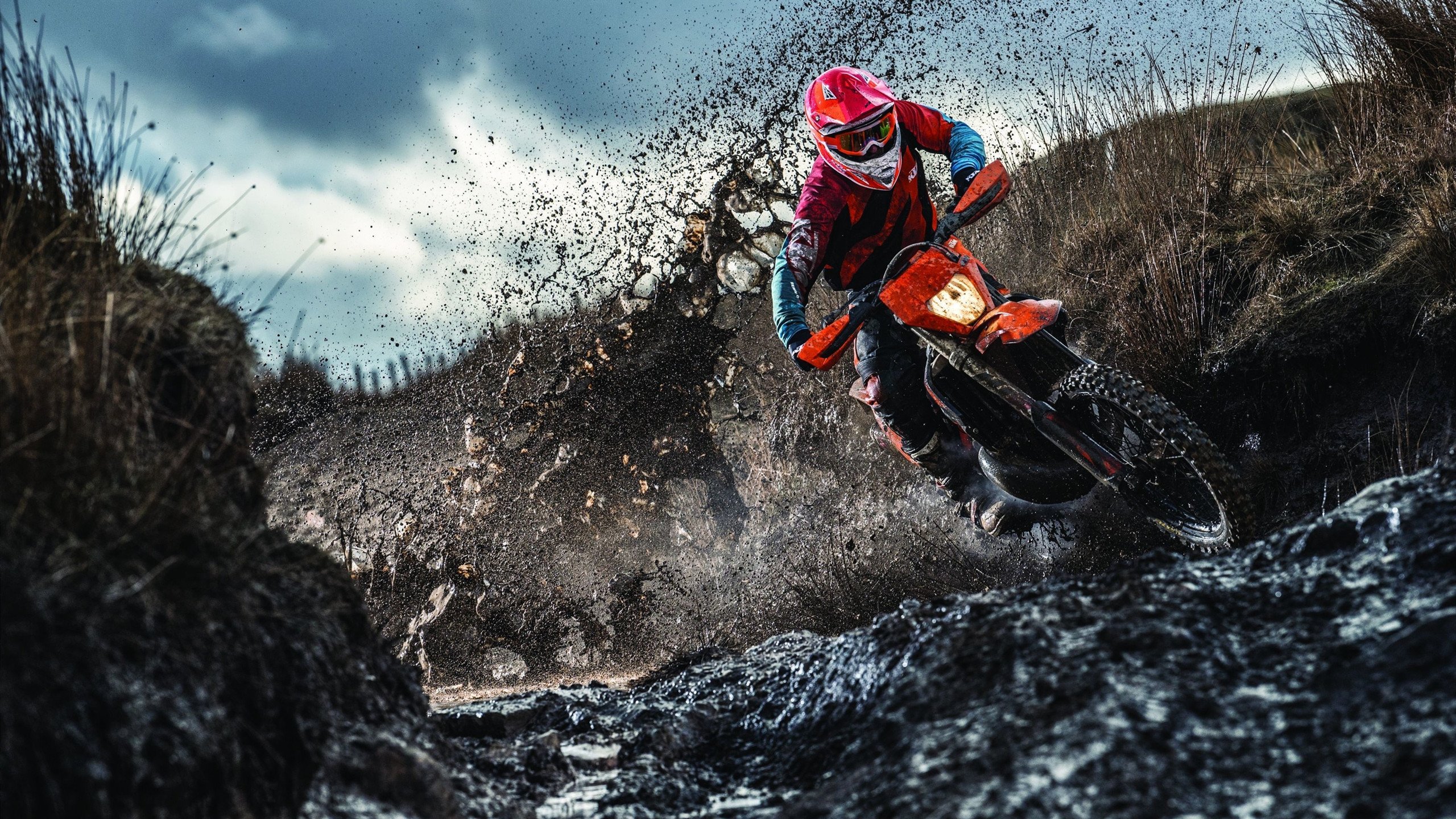 南美铁壁锁死法甲雄狮，加克波一锤定音闪耀年度焦点战