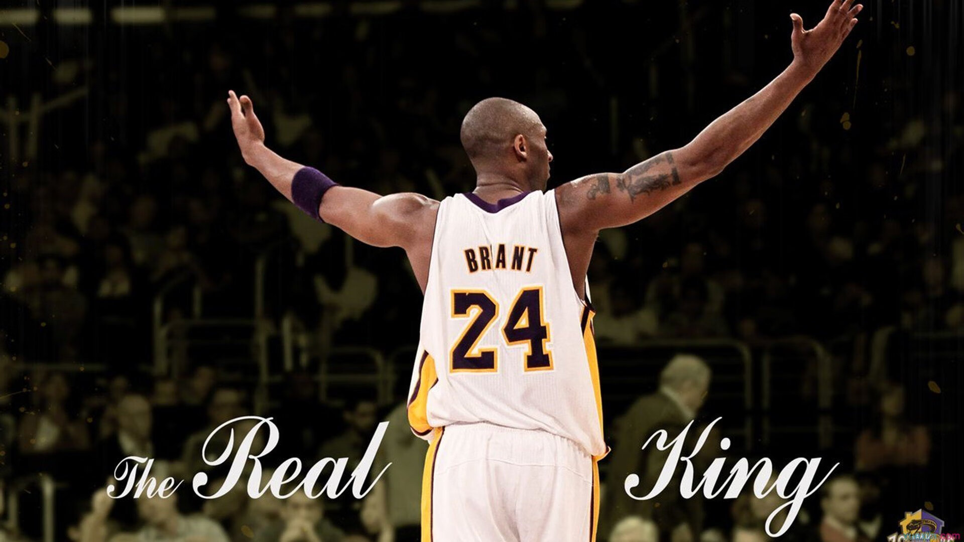 LPL赛事观看-羽坛新纪元，印尼队完胜日本队，黄鸭组合刷新纪录震撼世界